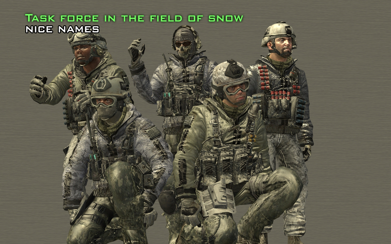 Task Force 141 Snow